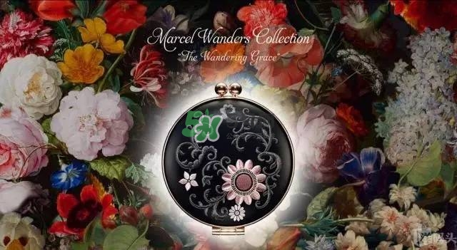 黛珂永恒祈愿蜜粉餅一共有幾款_每款有什么不同 黛珂永恒祈愿蜜粉餅一共有幾款_每款有什么不同