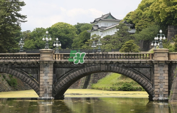 10月份去日本合適嗎？十月份去日本穿什么衣服