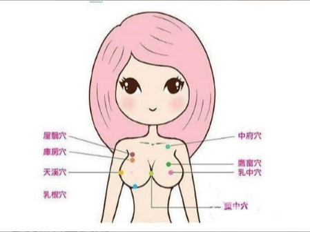 怎樣減脂不瘦胸 美胸九個(gè)動(dòng)作五方法 怎樣減脂不瘦胸 美胸九個(gè)動(dòng)作五方法