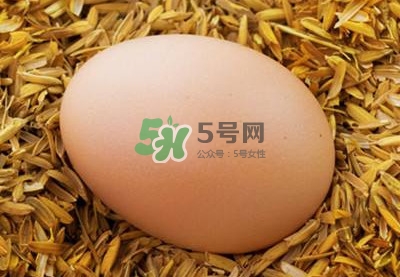 芝麻醬和雞蛋能一起吃嗎？雞蛋可以和芝麻醬一起吃嗎