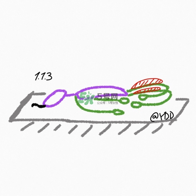 腿臀及胸臂拉伸運動圖解 腿臀及胸臂拉伸運動圖解