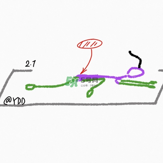 腿臀及胸臂拉伸運動圖解 腿臀及胸臂拉伸運動圖解