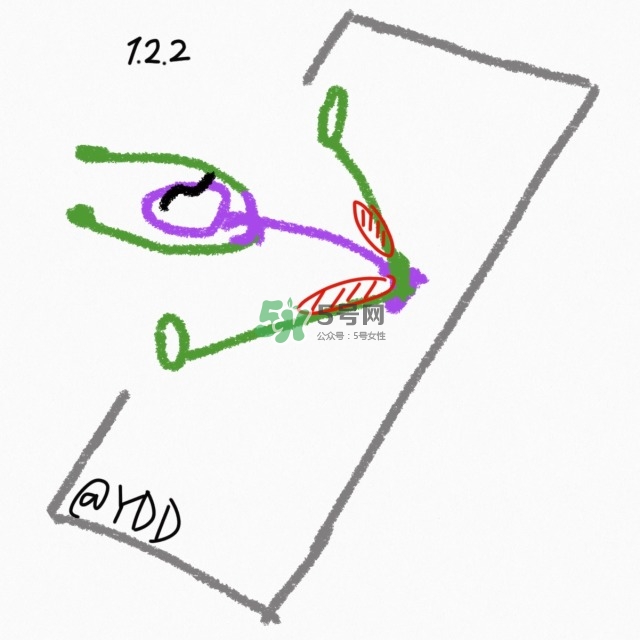 腿臀及胸臂拉伸運動圖解 腿臀及胸臂拉伸運動圖解