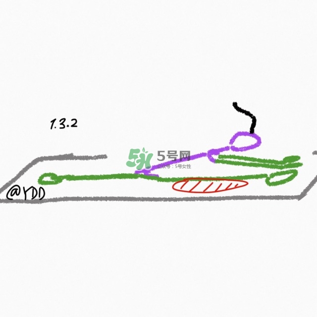 腿臀及胸臂拉伸運動圖解 腿臀及胸臂拉伸運動圖解