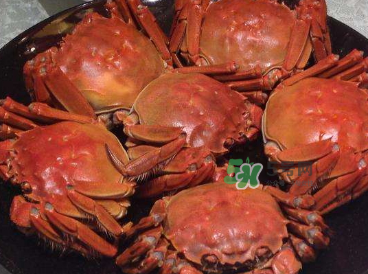 盤(pán)錦河蟹批發(fā)市場(chǎng)在哪？盤(pán)錦河蟹哪里最正宗？