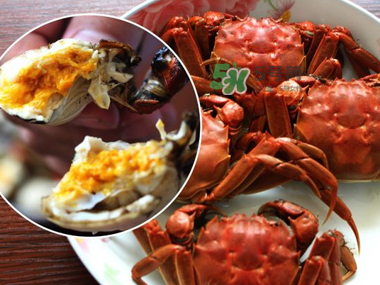 盤(pán)錦河蟹批發(fā)市場(chǎng)在哪？盤(pán)錦河蟹哪里最正宗？