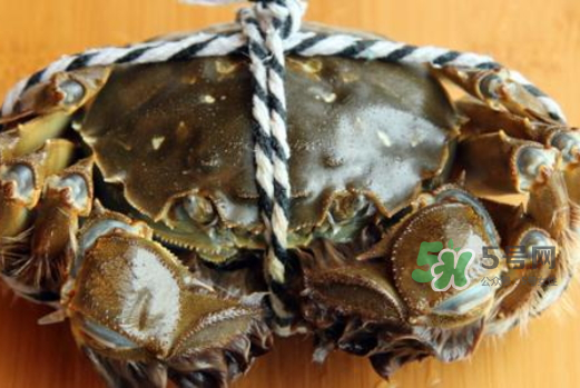 大閘蟹為什么要綁？大閘蟹怎么捆？