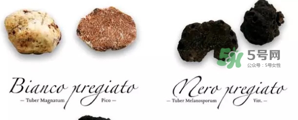 世界上評(píng)價(jià)較高的松露品種是什么？白松露和黑松露哪個(gè)好