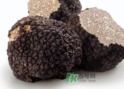 松露是什么樣子的？松露是怎么形成的