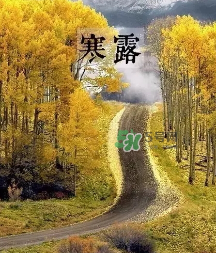 白露是寒露嗎？白露和寒露的區(qū)別