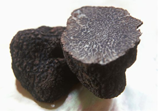 松露為什么那么貴？松露為什么這么貴？