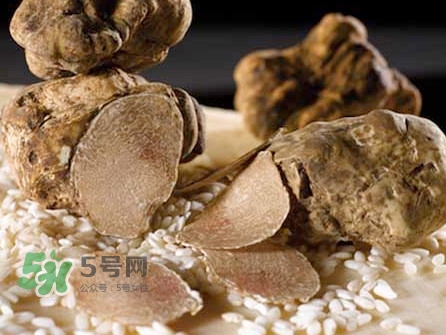 松露為什么那么貴？松露為什么這么貴？