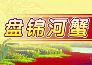 盤(pán)錦河蟹批發(fā)市場(chǎng)在哪？盤(pán)錦河蟹哪里最正宗？