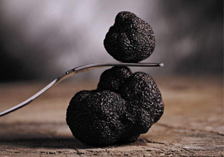 松露是什么味道？松露到底有多好吃