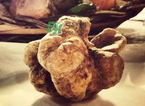 世界上評(píng)價(jià)較高的松露品種是什么？白松露和黑松露哪個(gè)好