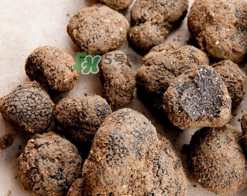 松露是什么樣子的？松露是怎么形成的