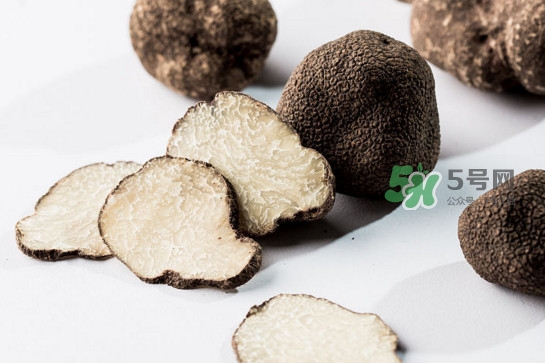 松露產(chǎn)地在哪里？松露有什么作用