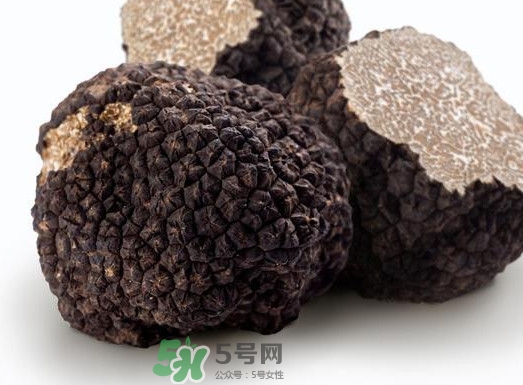 松露產(chǎn)地在哪里？松露有什么作用