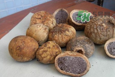 松露是保健品嗎？松露怎么保存