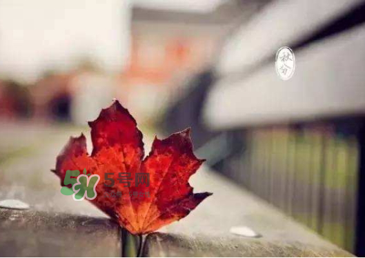 2017秋分還熱嗎？2017年秋分以后還熱嗎？