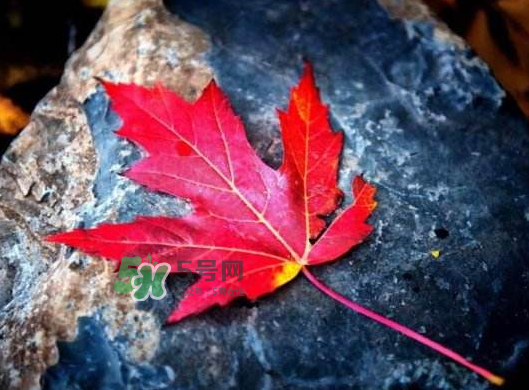 2017秋分還熱嗎？2017年秋分以后還熱嗎？