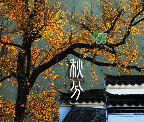 2017秋分會下雨嗎？2017秋分下雨好不好？