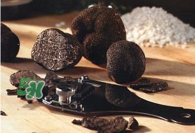 松露是保健品嗎？松露怎么保存