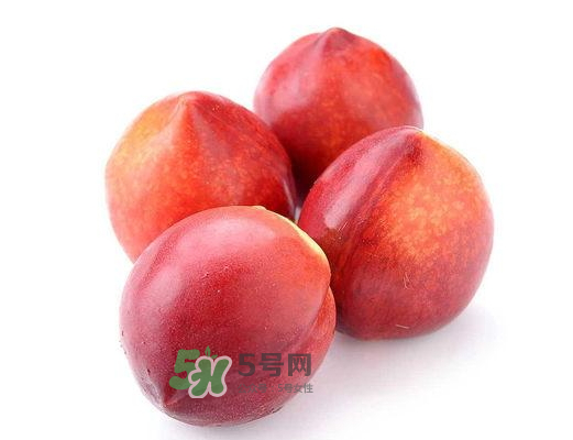 九月份還有桃子嗎？9月份成熟的桃子有幾種？