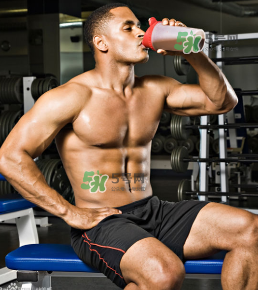 練肌肉一定要吃蛋白粉嗎？健身一定要吃蛋白粉嗎？