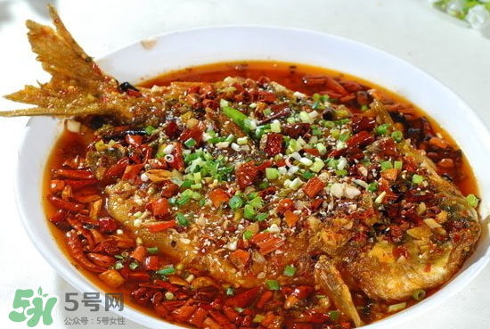 黑魚能愈合傷口嗎？黑魚為什么對傷口愈合？