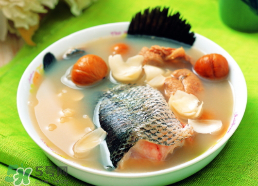 黑魚能愈合傷口嗎？黑魚為什么對傷口愈合？