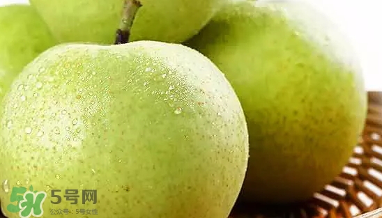 綠寶石梨多少錢(qián)一斤？綠寶石梨價(jià)格表