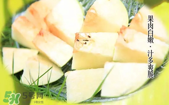 綠寶石梨多少錢(qián)一斤？綠寶石梨價(jià)格表