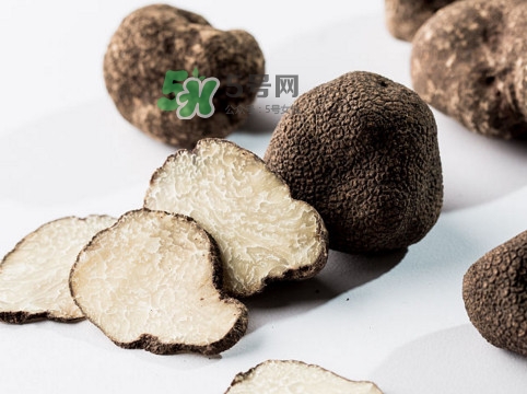 松露對女人有什么好處？松露對男人有什么好處