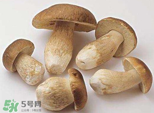 牛肝菌要泡發(fā)多久？牛肝菌怎么清洗