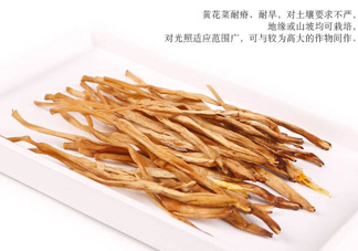 新鮮黃花菜怎么保存？干黃花菜怎么保存