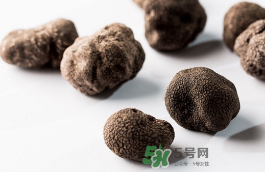 松露對女人有什么好處？松露對男人有什么好處