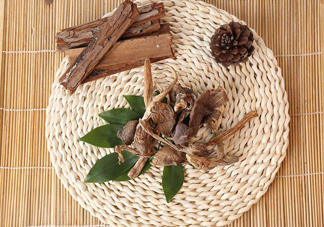 雞樅菌和松茸哪個更好？雞樅菌有什么營養(yǎng)