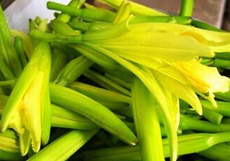 黃花菜開(kāi)花了還能吃嗎？開(kāi)花的黃花菜可以吃嗎