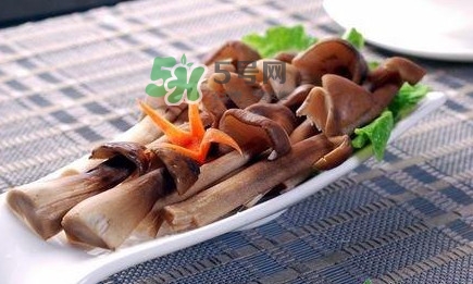 雞樅菌和松茸哪個更好？雞樅菌有什么營養(yǎng)