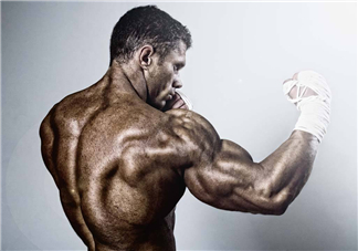 蛋白粉和增肌粉有什么區(qū)別？蛋白粉和增肌粉能一起吃嗎？