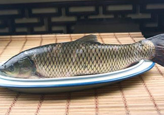 黑魚可以清蒸嗎？黑魚蒸多久？