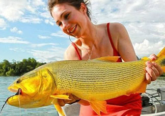 9月份釣什么魚？9月份釣草魚嗎？