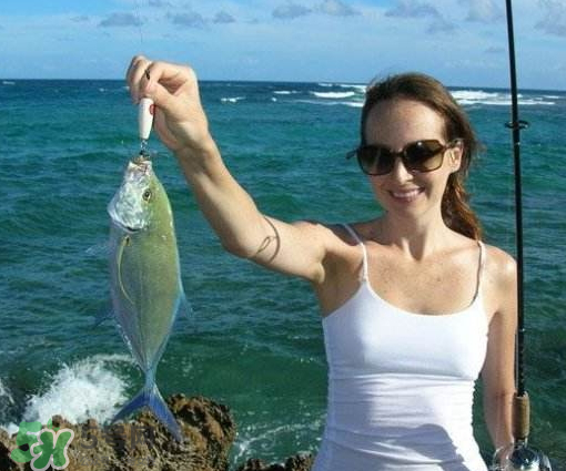 9月份釣什么魚？9月份釣草魚嗎？