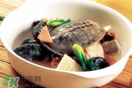 產(chǎn)婦能吃甲魚嗎？產(chǎn)婦能吃甲魚湯嗎？