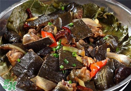 甲魚(yú)湯下奶嗎？下奶的食物有哪些？