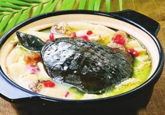 甲魚湯下奶嗎？下奶的食物有哪些？