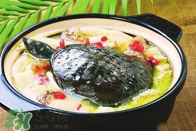 甲魚(yú)湯下奶嗎？下奶的食物有哪些？