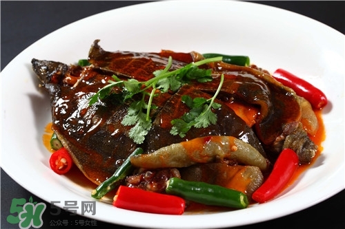 甲魚湯是涼性的嗎？甲魚湯的禁忌人群