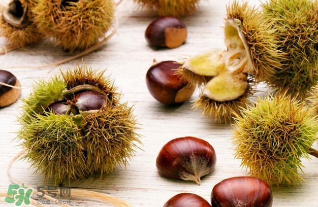 被板栗刺了怎么辦？板栗刺球煮水喝有什么作用